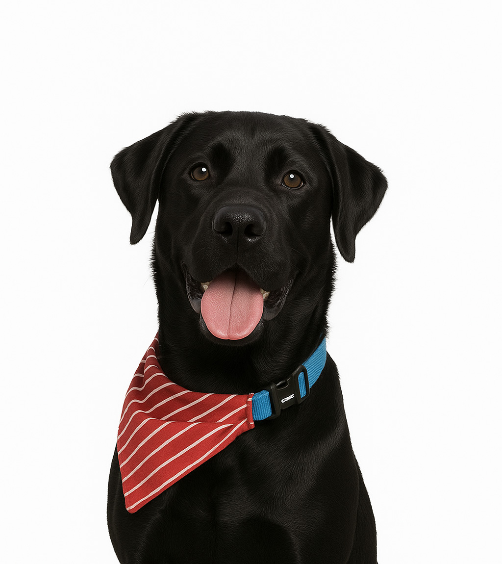 Murphy (Our Murph) Rafferty